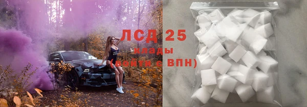 гашик Болохово