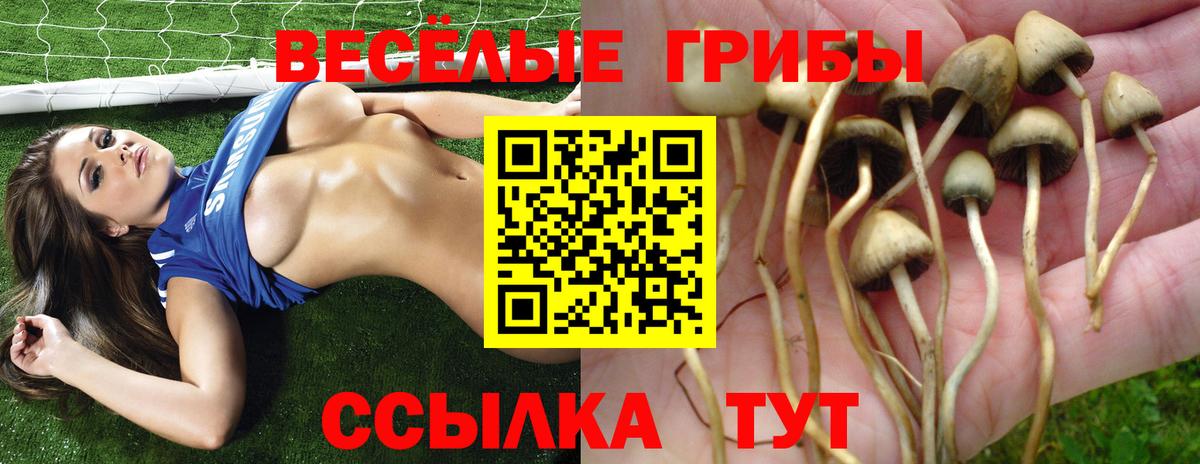 Псилоцибиновые грибы прущие грибы Ейск