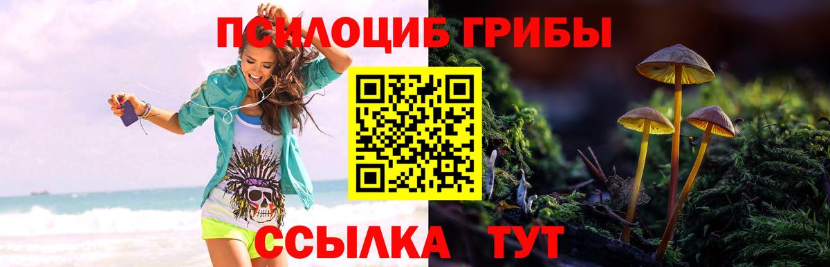 Ейск  Галлюциногенные грибы GOLDEN TEACHER  Вход с VPN 